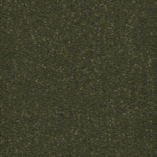 Curly Q - Boucle Upholstery Fabric - Swatch / Green - Revolution Upholstery Fabric