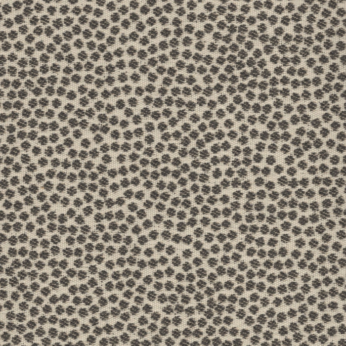 Kit Cat - Outdoor Fabric - Swatch / Charcoal - Revolution Upholstery Fabric