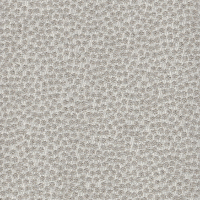 Kit Cat - Outdoor Fabric - Swatch / Light Gray - Revolution Upholstery Fabric