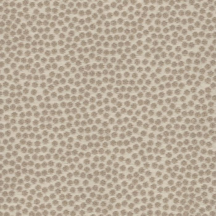 Kit Cat - Outdoor Fabric - Swatch / Taupe - Revolution Upholstery Fabric