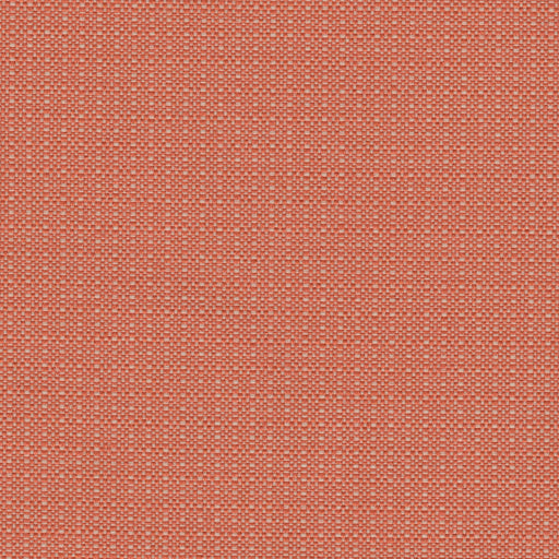 Phoenician - Revolution Plus Performance Fabric - yard / phoenician-mango - Revolution Upholstery Fabric